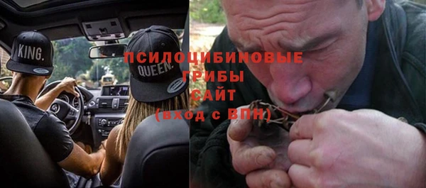 соль ск Верхний Тагил