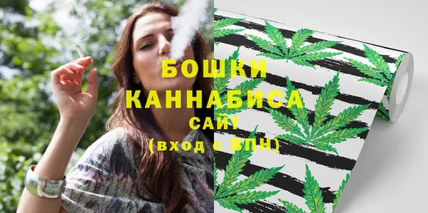 МДПВ Семилуки