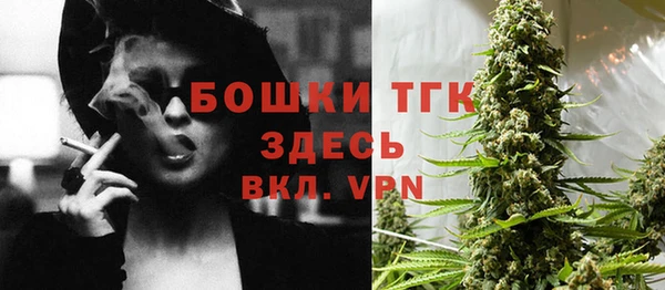МДПВ Семилуки